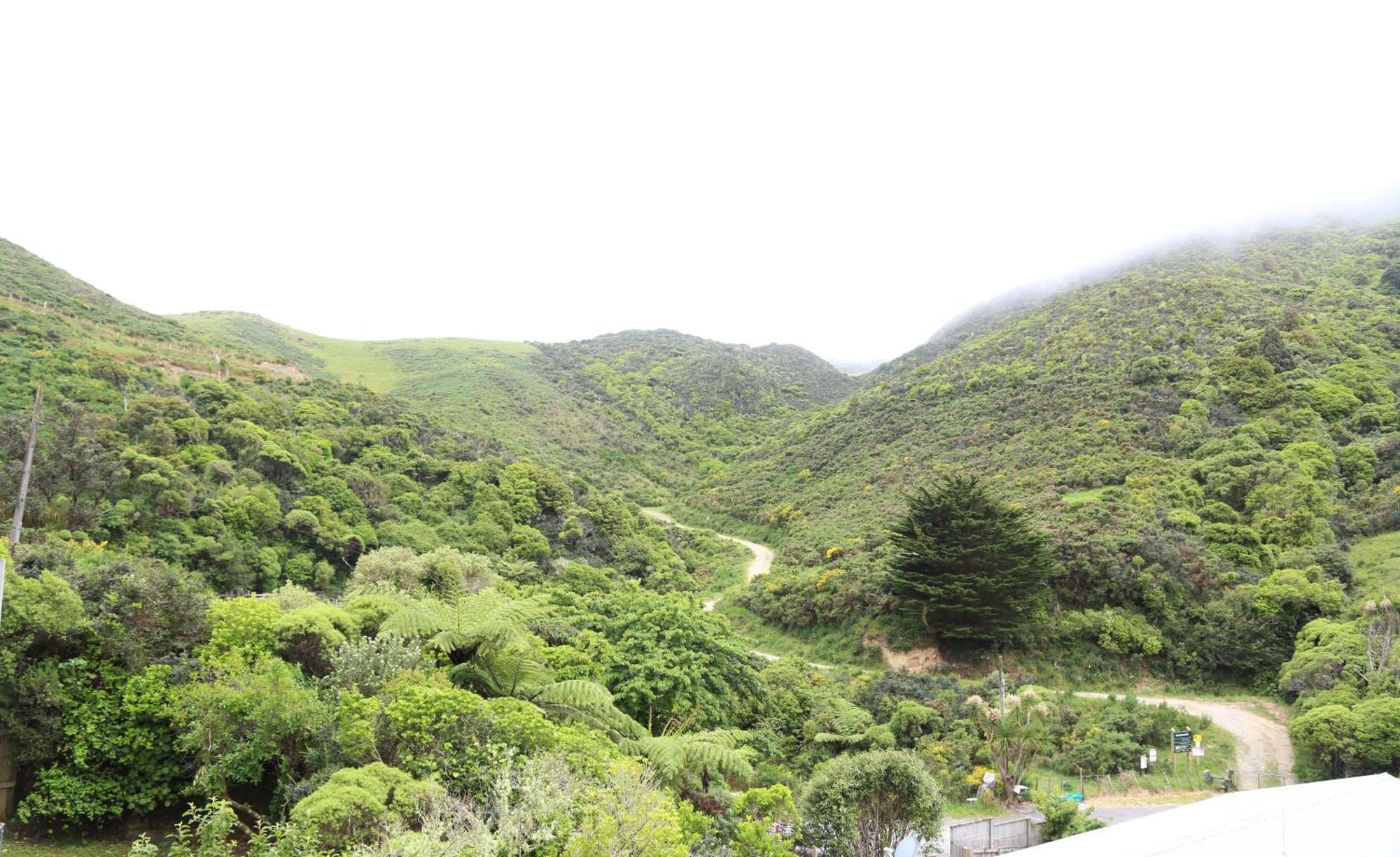 Skyline Haven - Entire Apartment - Free Parking, Espresso, Netflix - 15M To Cbd, Stadium, Ferry Wellington Buitenkant foto